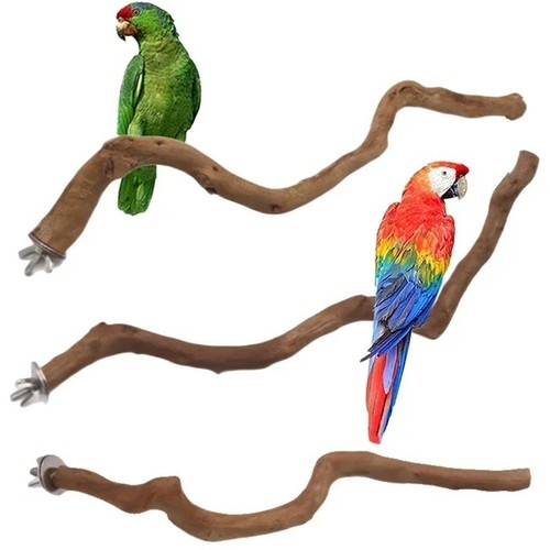 Natural parrot perch - parrot, bird