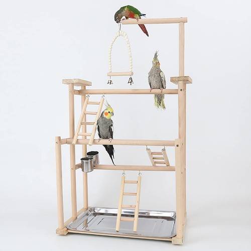 Bird perch stand - bird,