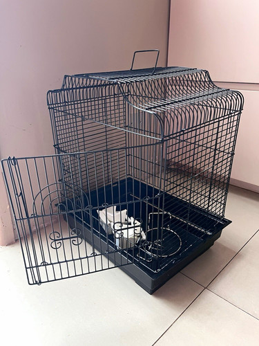 Black wire bird cage with - bird,
