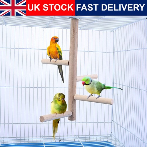 Lanfly budgie parrot perch - budgie,