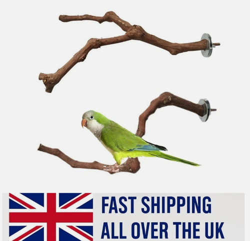 Wooden parrot bird stand tree - wooden,