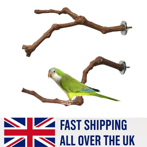 Wooden parrot bird stand - wooden,