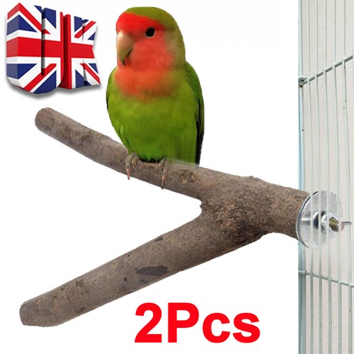 Parrot bird stand - 2x,
