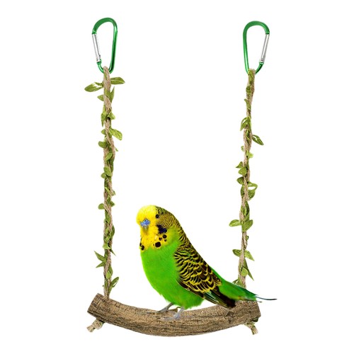 Pet bird parrot - bird,