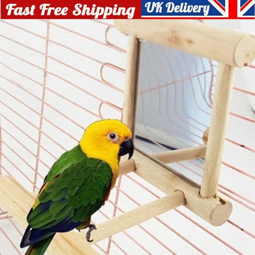 Wooden bird mirror interactive - bird,