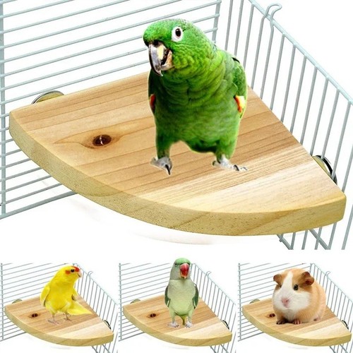 Wooden bird parrot cage - bird,