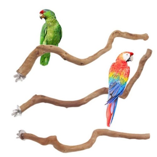 Wooden parrot bird stand tree - stand,