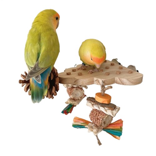 Wooden parrot bird perch stand - perch,