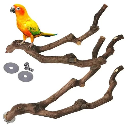 Wooden parrot bird stand - bird,