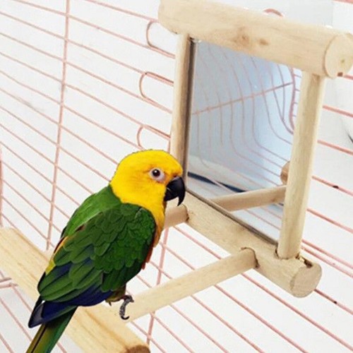 Bird wood perch - stand, with