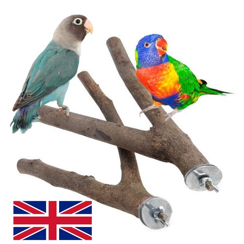 2pcs parrot bird - parrot,