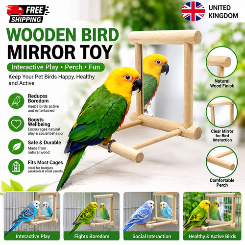 Wooden bird mirror interactive - bird,