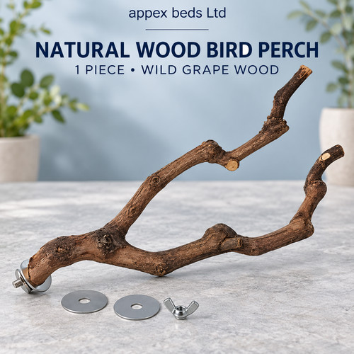Wooden parrot bird stand tree - stand,
