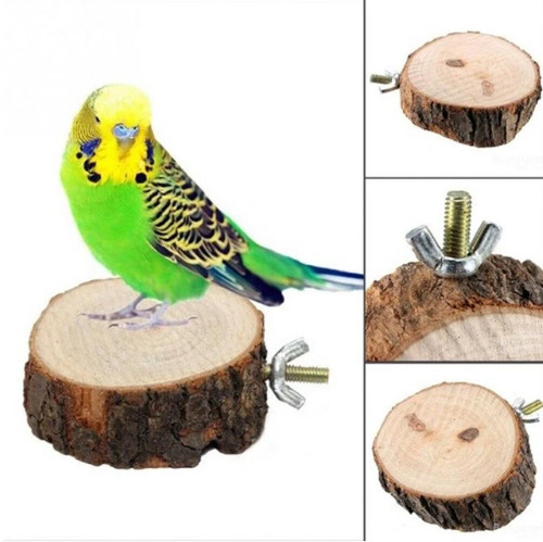 Wooden round parrot - wooden, bird
