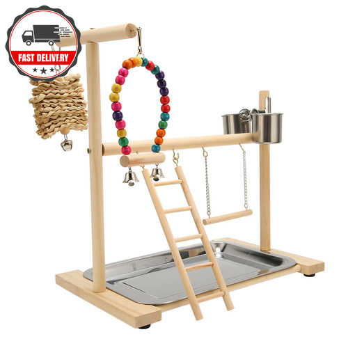 Parrot bird wooden playground - bird,