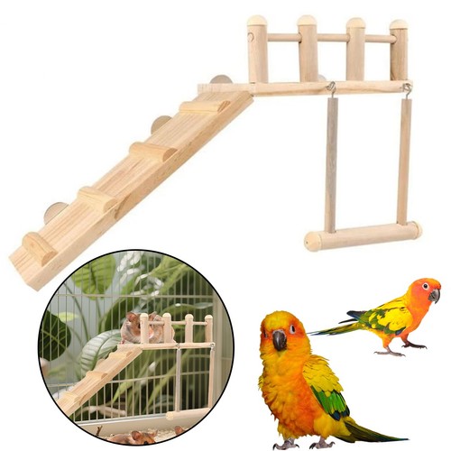 Pet cockatiel parrot bird cage - cockatiel,