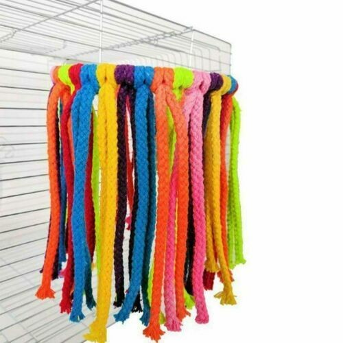 Parrot chew coil pet - parrot, budgie