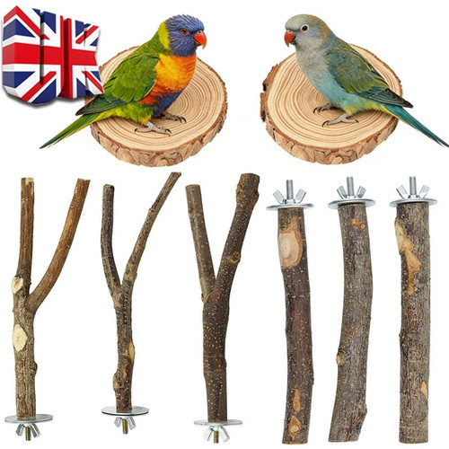 Bird cage branch wood - bird,