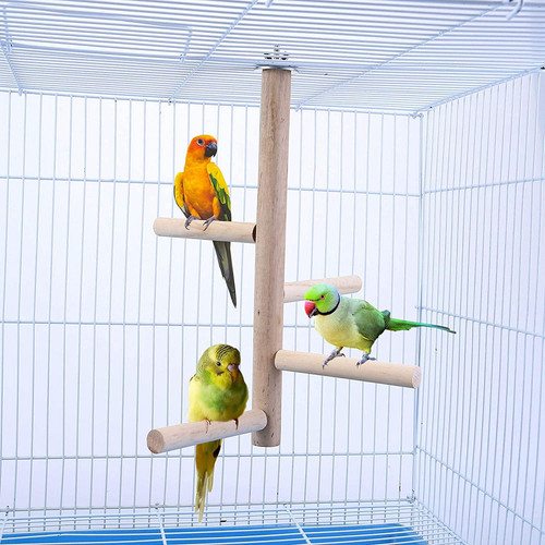 Wooden bird perch set paw - wooden,
