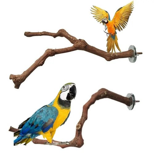 Wooden parrot bird - bird, stand
