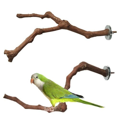 Wooden parrot bird - bird, stand