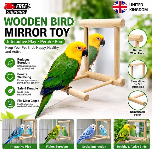 Wooden bird mirror interactive - wooden,