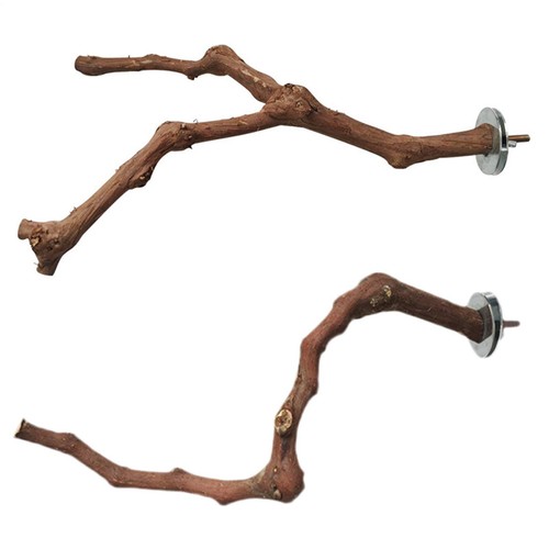 Natural grape wood bird - grape, perch