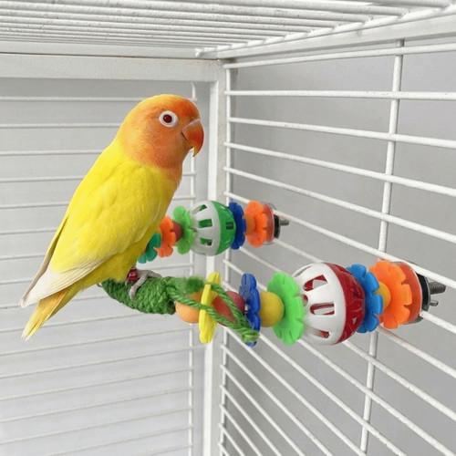 Parrot bird stand swing - parrot,