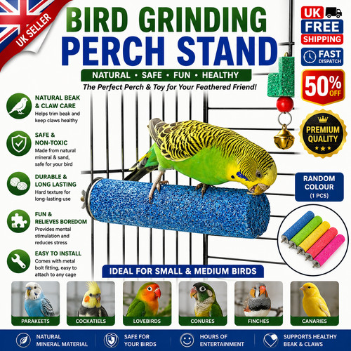 Natural bird perch wooden - bird,