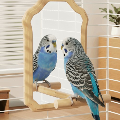 Wooden bird mirror - bird,