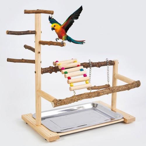 Budgie playground parrot - playground,