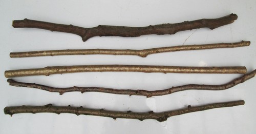 90cm natural branches - 90cm, wood