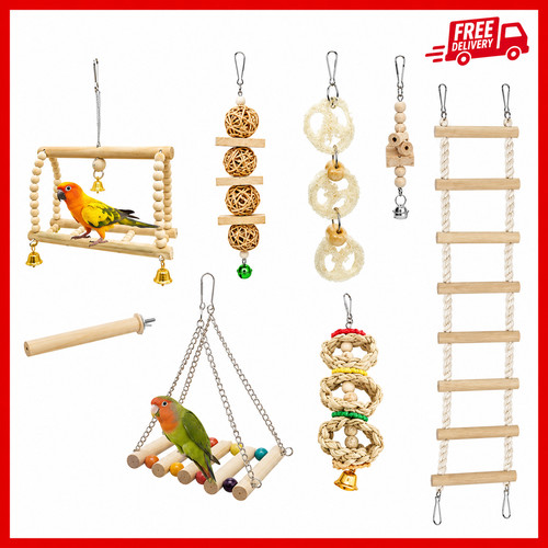 Bird toys for parakeets - bird,