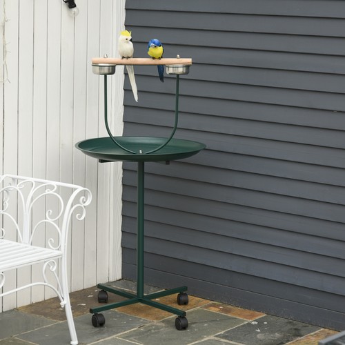 Pawhut parrot bird perch - bird,