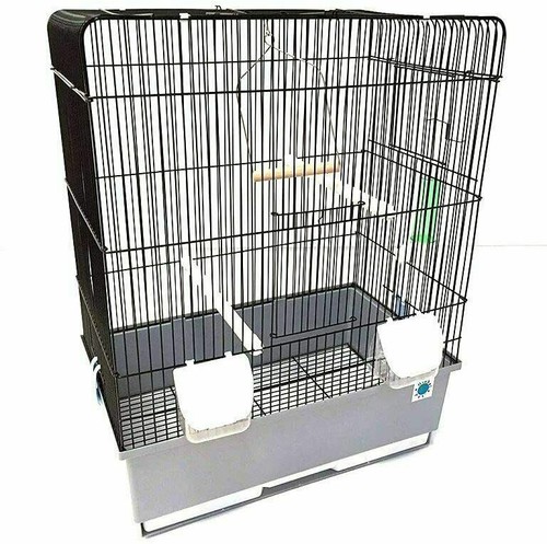 Crystal budgie canary bird - budgie,