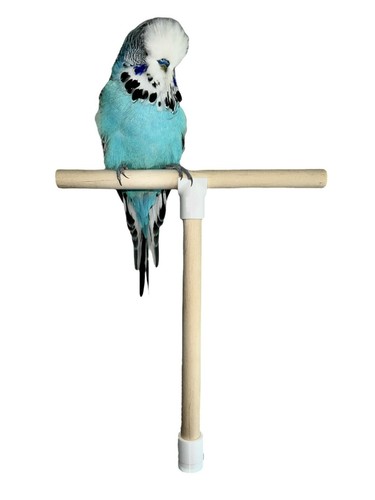 Shape bird perch - shape,