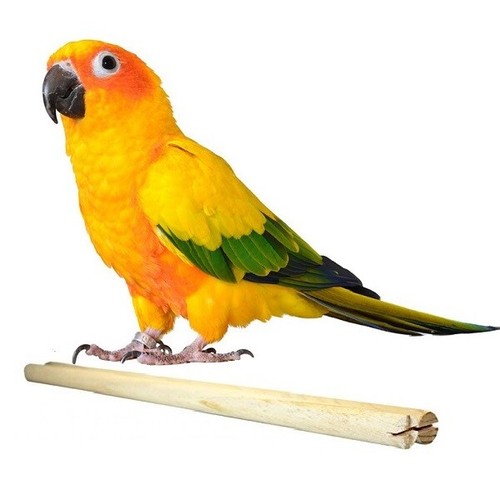 Happy pet wooden perch - happy,