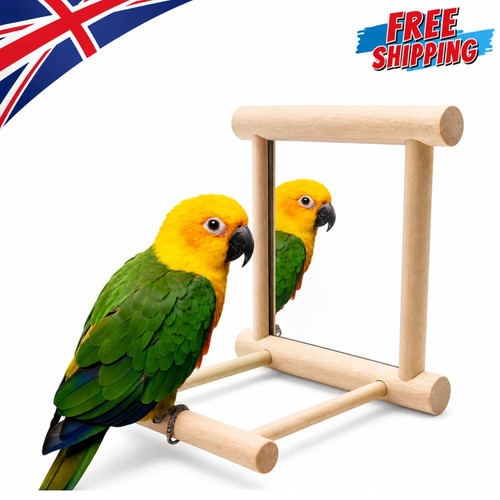 Wooden bird mirror interactive - wooden,